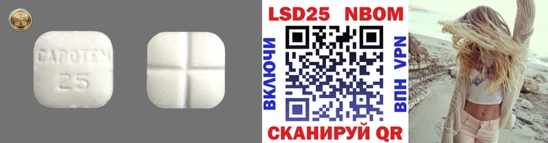 kraken ССЫЛКА  Новомосковск  LSD-25 экстази ecstasy 